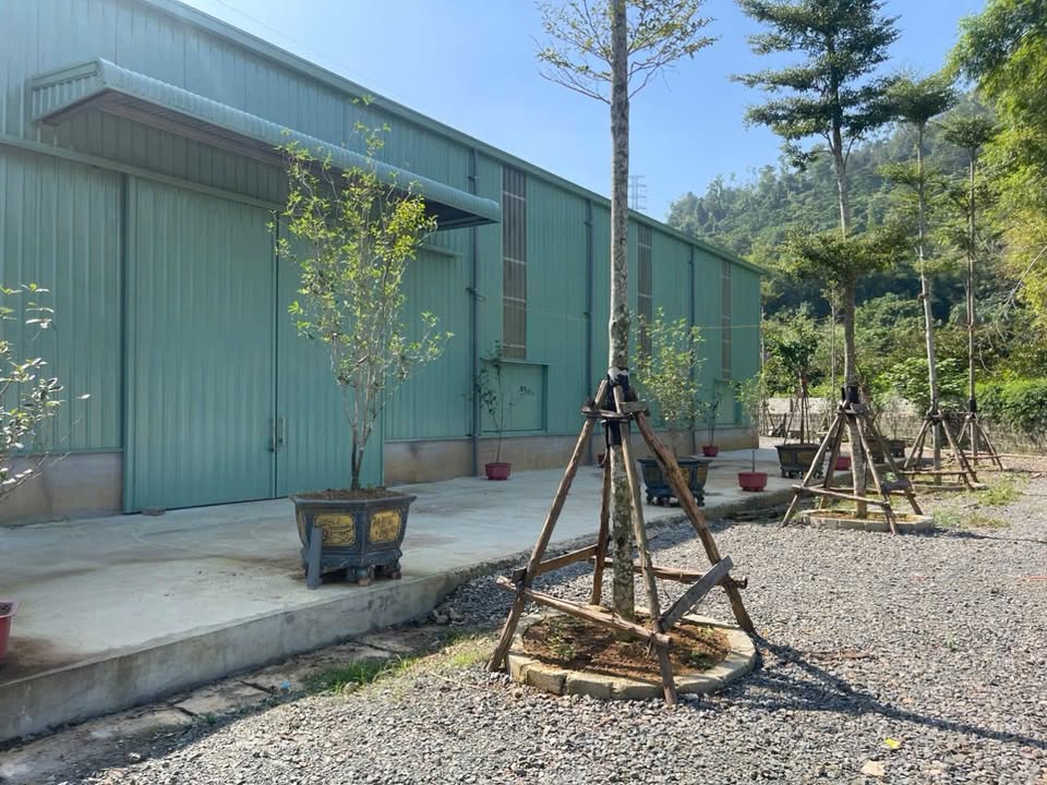 Nhà xưởng Hòa Sơn 3000m² giá 10 tỷ - Đầu tư sinh lời ngay!