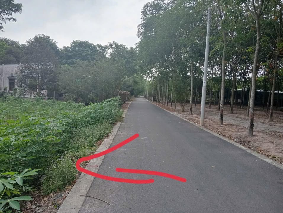 Đất nền thổ cư Minh Thạnh, Dầu Tiếng 2500m² chỉ 500 triệu - Cơ hội đầu tư tuyệt vời!