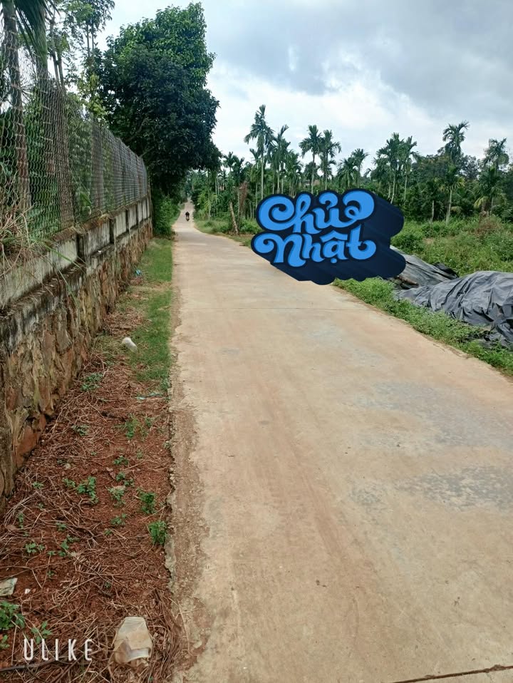 Đất nền đường Eatieu, xã Ea Tiêu, 310m² giá 966 triệu - Cơ hội đầu tư tuyệt vời!