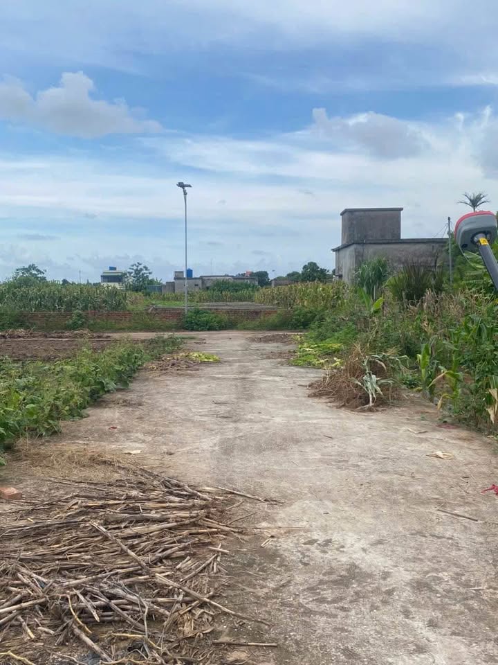 Đất nền Đông Trà Tiền Hải 260m² giá 400 triệu - Ngõ ô tô tận đất!