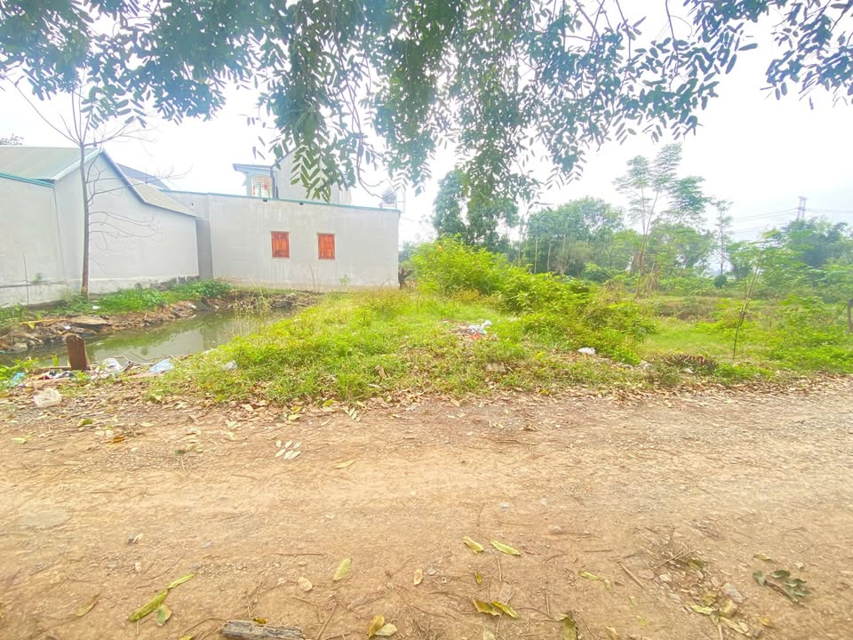 Đất nền Phú Nghĩa, Chương Mỹ 123m² giá dưới 20 triệu - Sổ đỏ chính chủ sẵn sàng giao dịch!