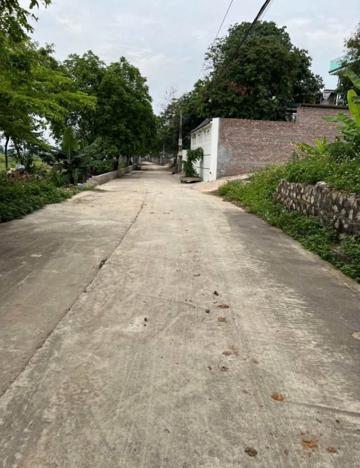 Đất nền Thôn Thành Dền, Đào Viên, Quế Võ, Bắc Ninh 72m² giá chỉ 1.X tỷ - Cơ hội đầu tư hấp dẫn!