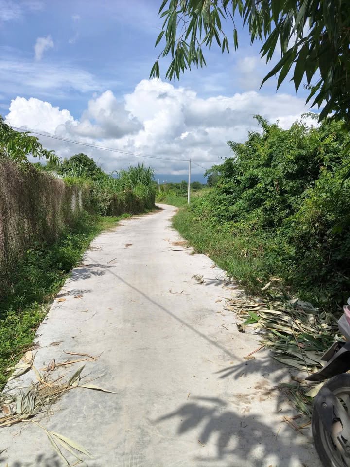 Đất nền 1000m² đường Nguyễn Văn Trỗi - Gần chợ Ma Lâm chỉ 499 triệu!