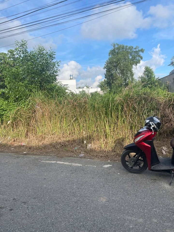 Đất mặt tiền đường nhựa Trà Vinh 260m² giá 1.9 tỷ - Đầu tư sinh lời ngay!