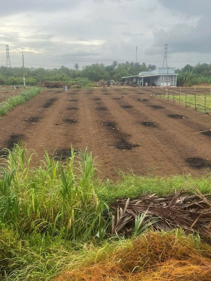 Đất nền Trường Long Hoà 500m² giá 1.6 tỷ - Đầu tư lý tưởng cho nghỉ dưỡng