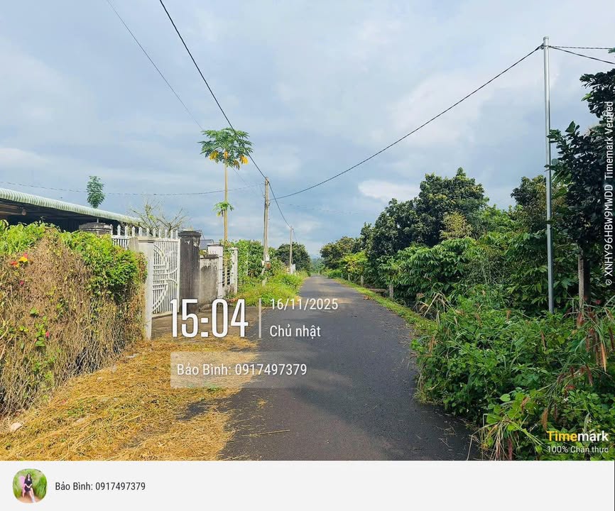 Đất nền Kim Long, Quảng Thành, 120m² giá chỉ 500 triệu - Đường nhựa, thổ cư 80m²