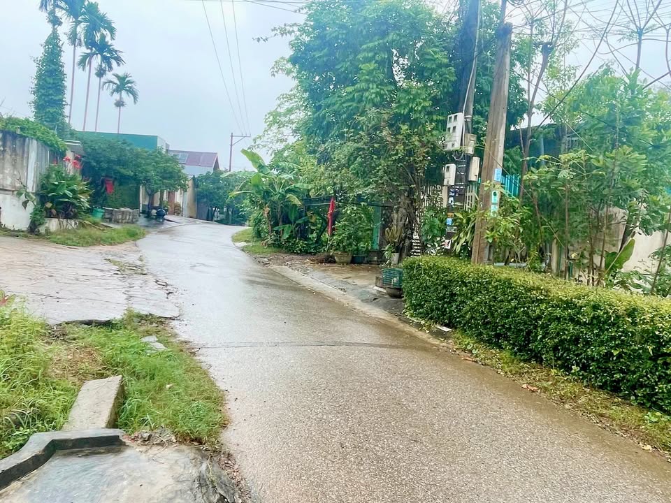 Nhà cấp 4 mặt tiền Yết Kiêu, phường 3, Đông Hà 250m² - Giá chỉ 1 tỷ!