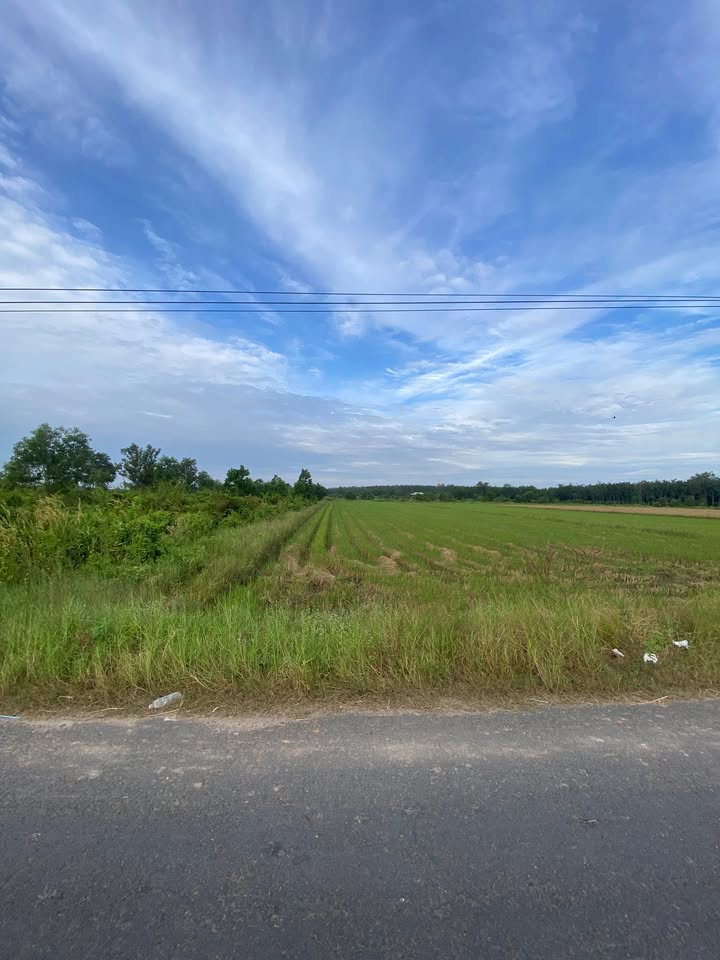 Đất ấp Trảng Cỏ, Hưng Thuận, Tây Ninh 12.000m² chỉ 3,7 tỷ - Cơ hội đầu tư vàng!