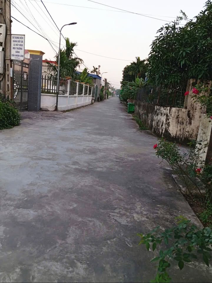 Đất nền Trực Mỹ, Trực Ninh 119m² giá 670 triệu - Mặt tiền rộng đẹp, xây biệt thự lý tưởng!