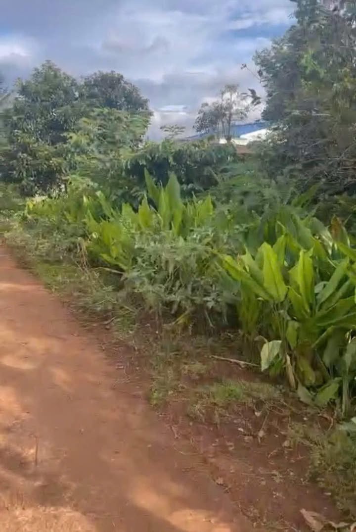 Đất nền Phú Xuân, Krông Năng 330m² giá 1.716 tỷ - Tiềm năng đầu tư sinh lời!