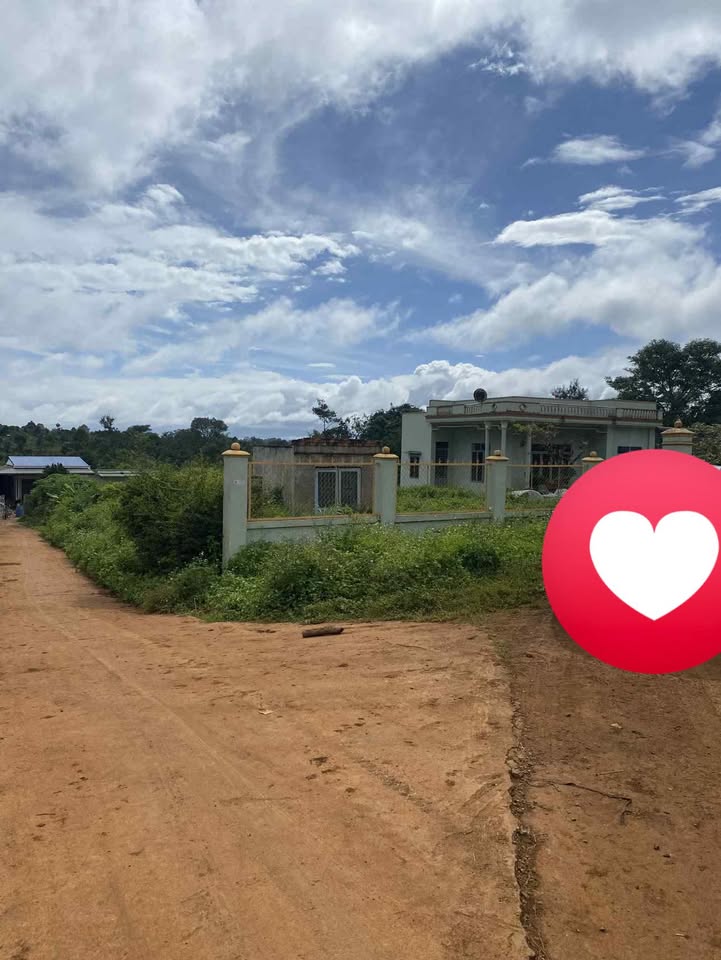 Đất nền Ea Hồ 140m² giá chỉ 300 triệu - Đầu tư sinh lời ngay!