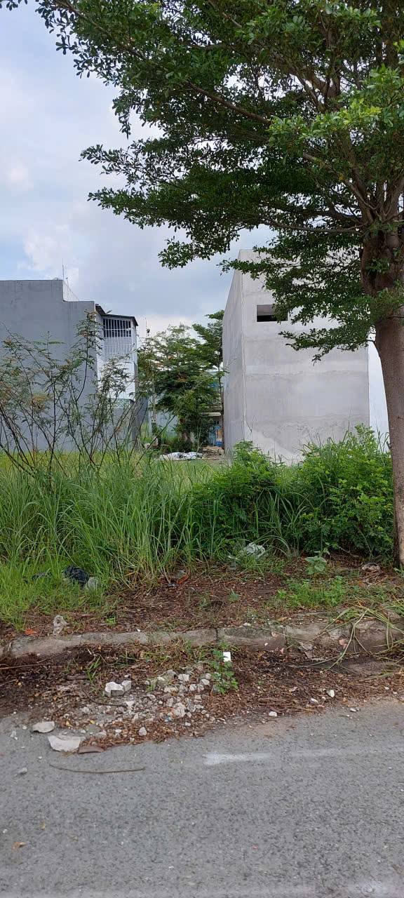 Đất thổ cư 85m² tại khu dân cư Trần Anh, Đức Hòa - Giá chỉ 1.47 tỷ VND, tiện ích gần trường học!