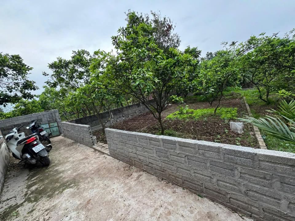 Đất Chương Dương Thường Tín 110m² giá chỉ 2.31 tỷ - Mặt tiền rộng, giao thông thuận lợi!