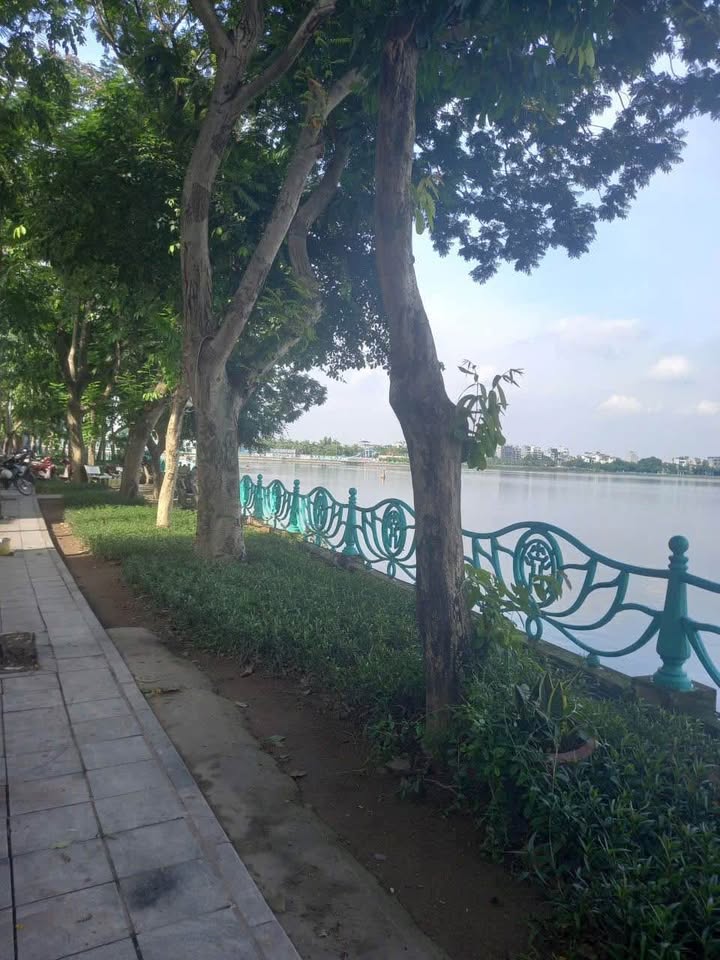 Căn hộ Trịnh Công Sơn Tây Hồ 205m² giá thương lượng - Dòng tiền 220 triệu/tháng!