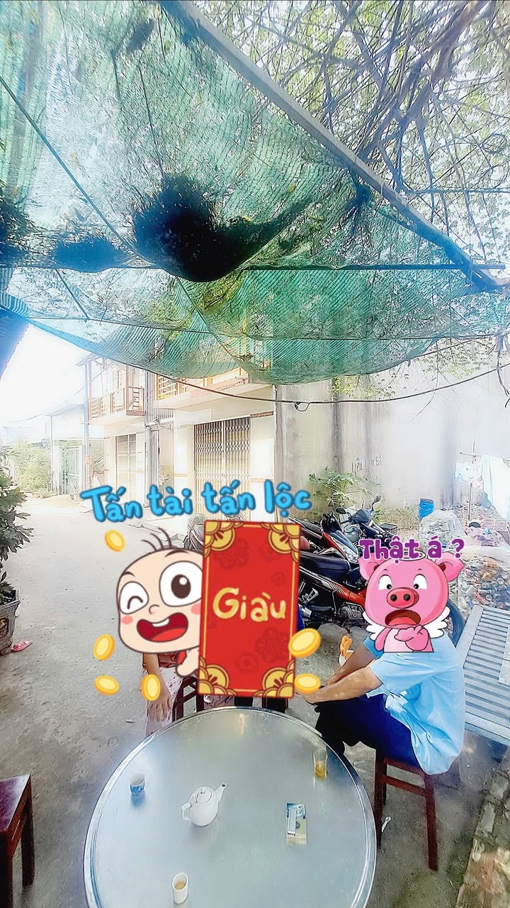 Lô đất thổ cư 139m² tại Mỹ Hạnh Nam giá 1.25 tỷ - Đầu tư sinh lời ngay!