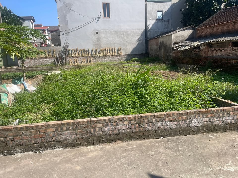 Đất nền 58m² Trí Quả, Bắc Ninh giá thỏa thuận - Vị trí đẹp, tiềm năng lớn!