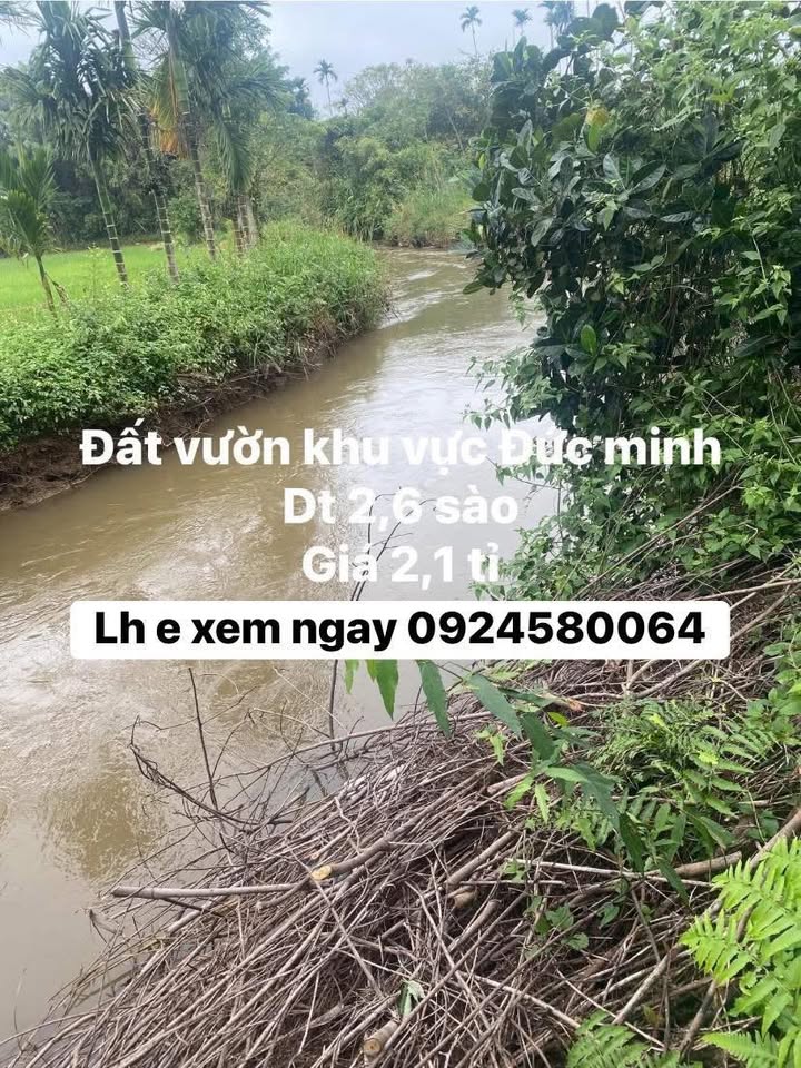 Đất vườn Đức Minh 1044m² giá 2.1 tỷ - Tiềm năng đầu tư sinh lời!