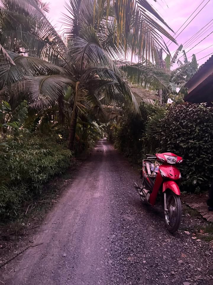 Đất thổ cư hẻm đường Vành Đai, Khánh Hậu, 324m² giá 2.25 tỷ - Nền cao ráo, giao thông thuận lợi!