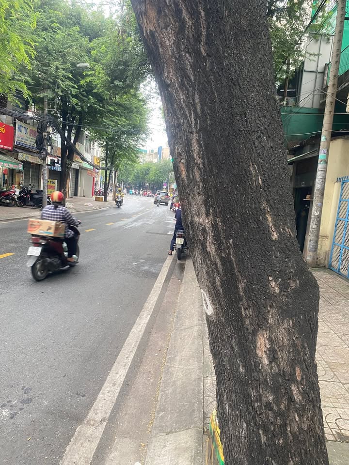 Nhà bán đường Tôn Thất Hiệp, quận 11, 69m² giá 16 tỷ - Khu vực kinh doanh sầm uất!