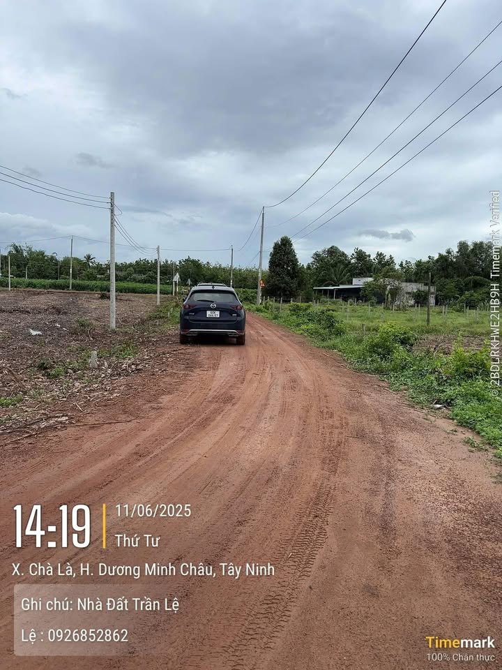 Đất thổ cư mặt tiền đường đỏ Ấp Láng, Chà Là 140m² giá 290 triệu - Đầu tư sinh lời ngay!