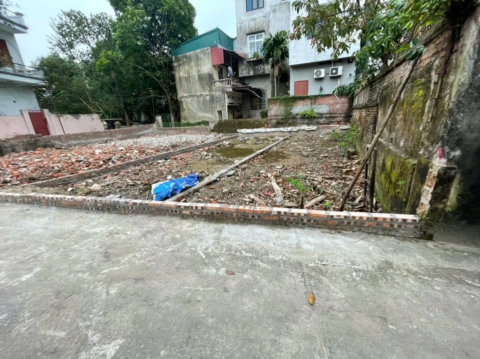 Đất Trường Lâm Long Biên 56m² giá 8.5 tỷ - Cơ hội đầu tư sinh lời