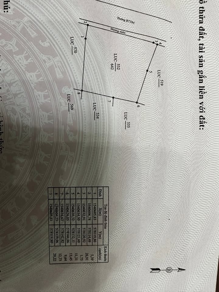 Đất nền Bình Hòa 700m² giá chỉ 80 triệu - Đầu tư sinh lời ngay!