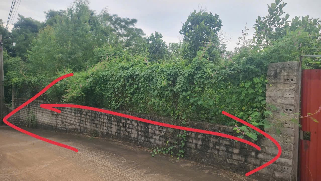 Đất thổ cư Thôn Nam, Đồng Việt, Yên Dũng 456m² giá 3 tỷ - Cơ hội đầu tư vàng!