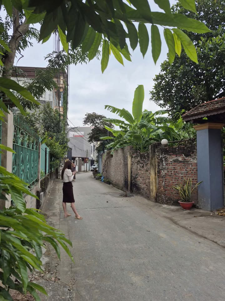 Đất nền trục chính Gia Bình 132m² giá thương lượng - Đầu tư sinh lời bền vững!