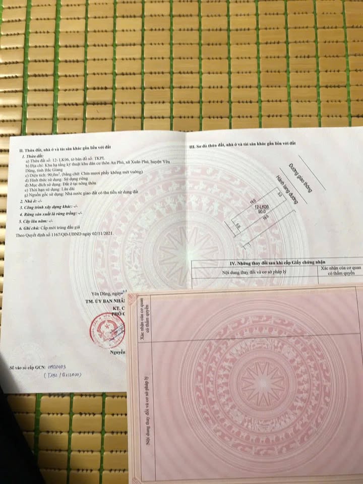 Đất nền TDP An Phú, Tân Tiến, Yên Dũng 90m² - Đầu tư sinh lời ngay!