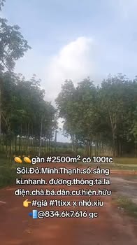 Đất nền Minh Thạnh Dầu Tiếng 2500m² giá 1 tỷ - Sổ đỏ chính chủ, đầu tư sinh lời!
