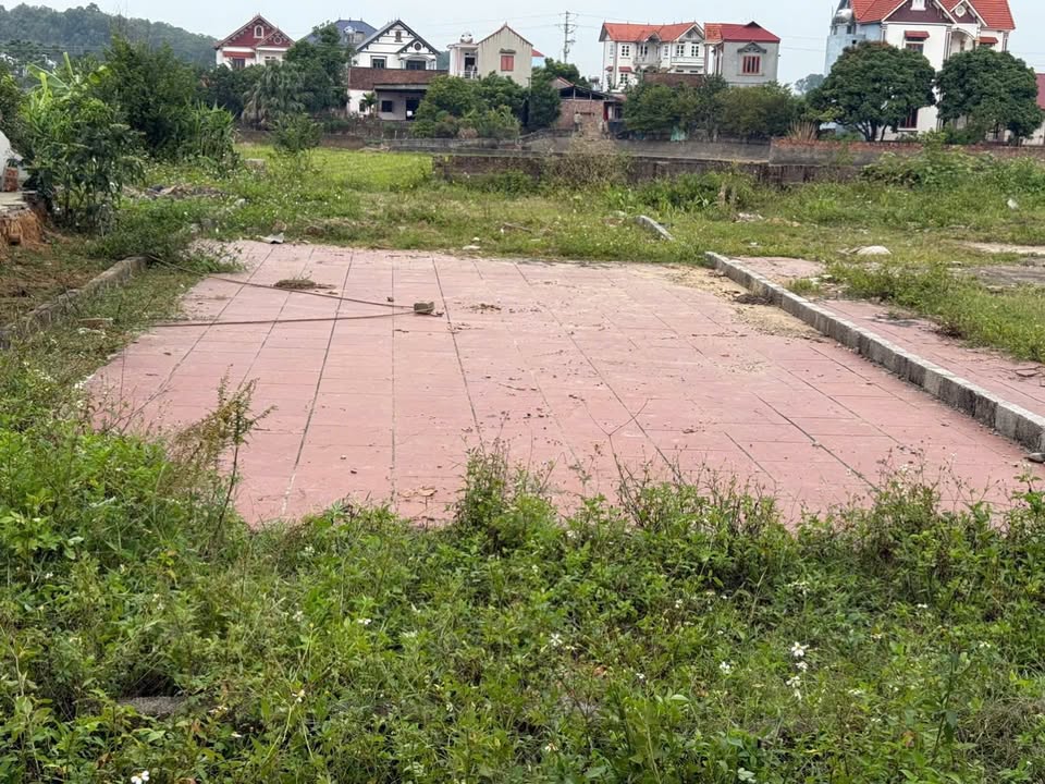 Đất nền Bãi Dinh, Ngọc Thiện 153.5m² giá thỏa thuận - Tiềm năng đầu tư lớn!