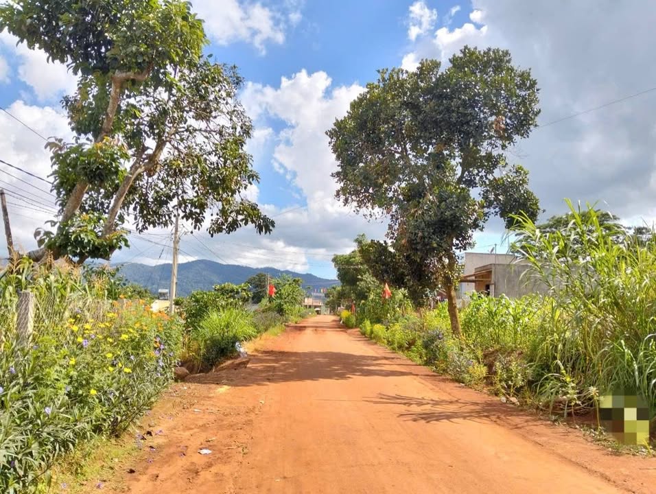 Đất nền 1100m² xã Quảng Lập, Đơn Dương - Giá chỉ 110 triệu/m², sổ hồng chính chủ!