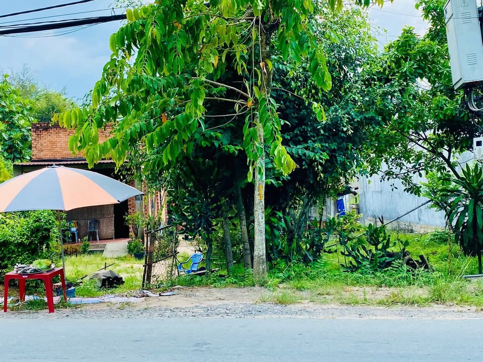 Đất nền xã Trung Lập Hạ, Củ Chi 349m² giá 2 tỷ - Mặt tiền tỉnh lộ 2, kinh doanh thuận lợi!