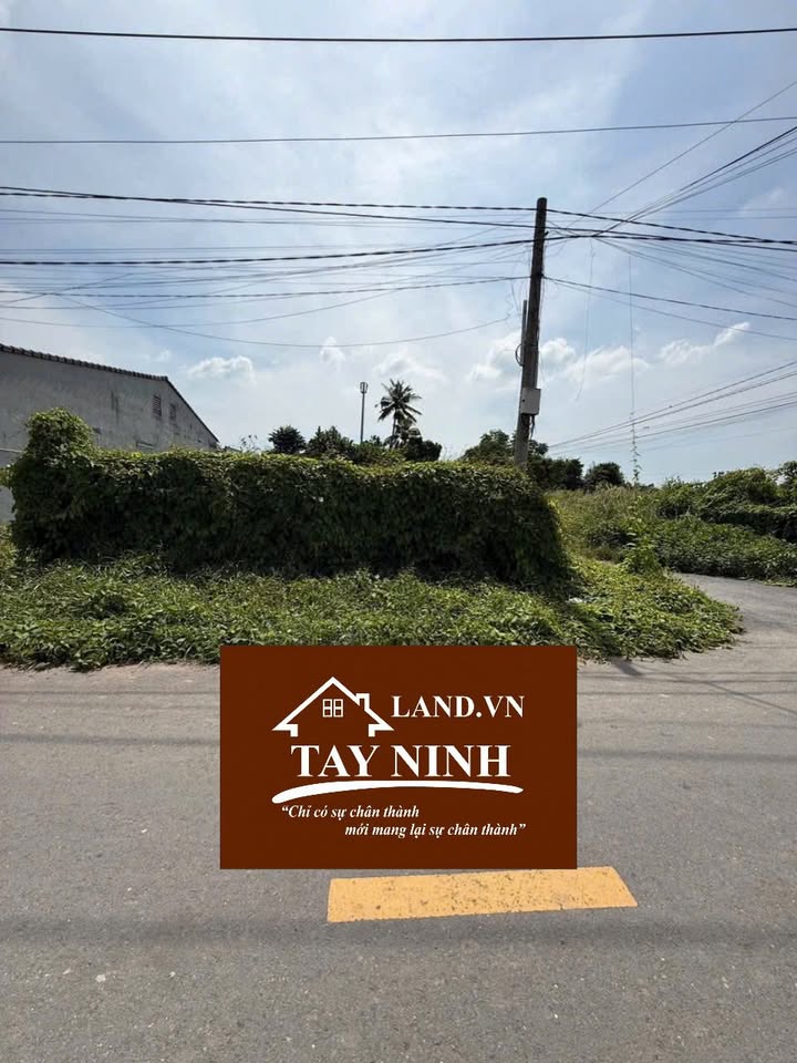 Đất mặt tiền hẻm 80 Trần Phú, Long Hoa, 225m² giá 2.184 tỷ - Cơ hội đầu tư tuyệt vời!