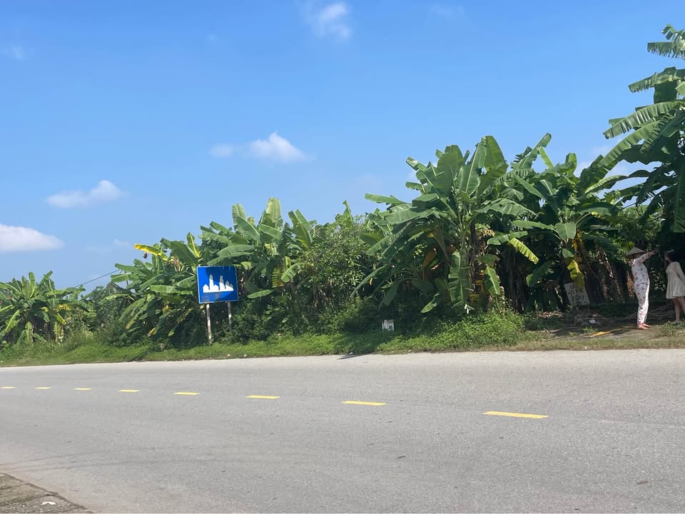 Đất nền 100m² tại Quốc lộ 32, Lâm Thao - Gần trường DHCN Việt Trì, giá thỏa thuận!