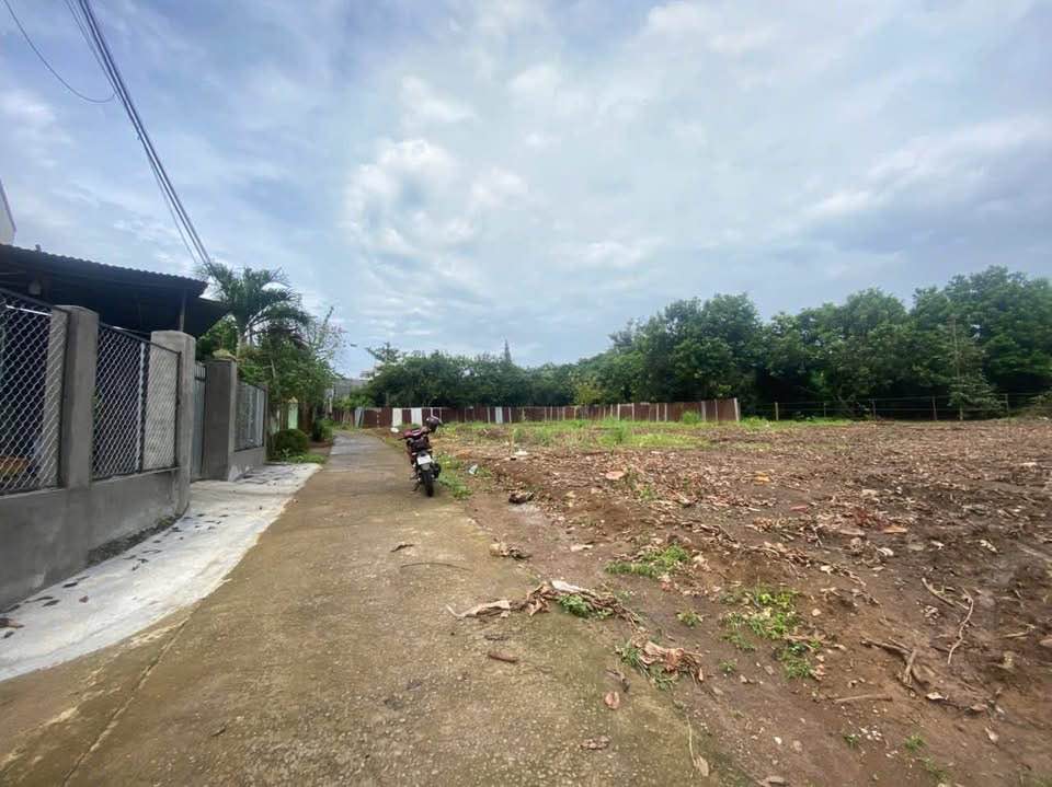 Đất nền Bình Lộc Long Khánh 150m² giá 970 triệu - Cơ hội đầu tư hấp dẫn!