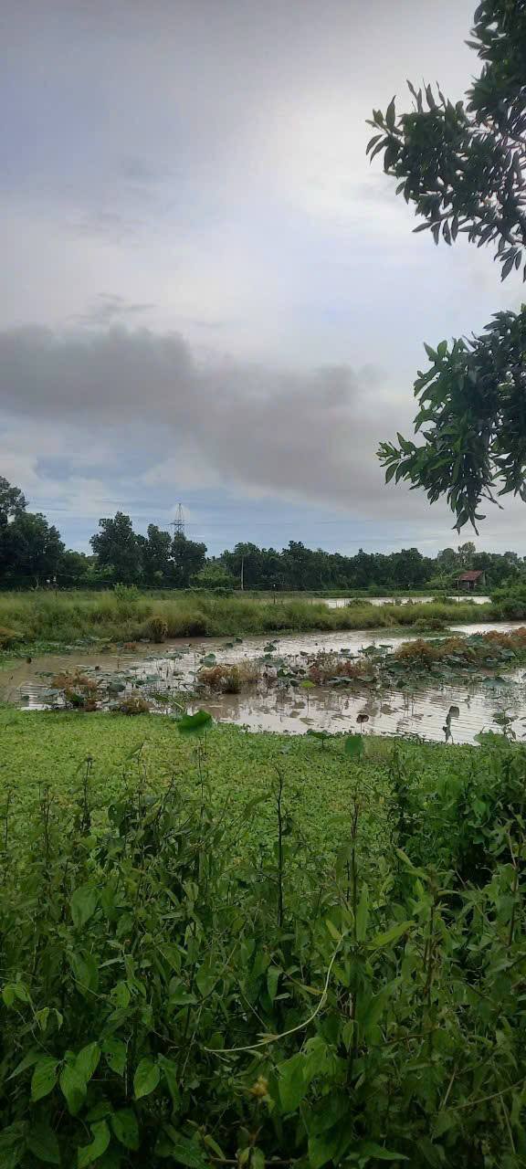 Đất nền 11.153m² đường Mạc Thiên Tích, Rạch Giá - Giá chỉ 5.3 tỷ