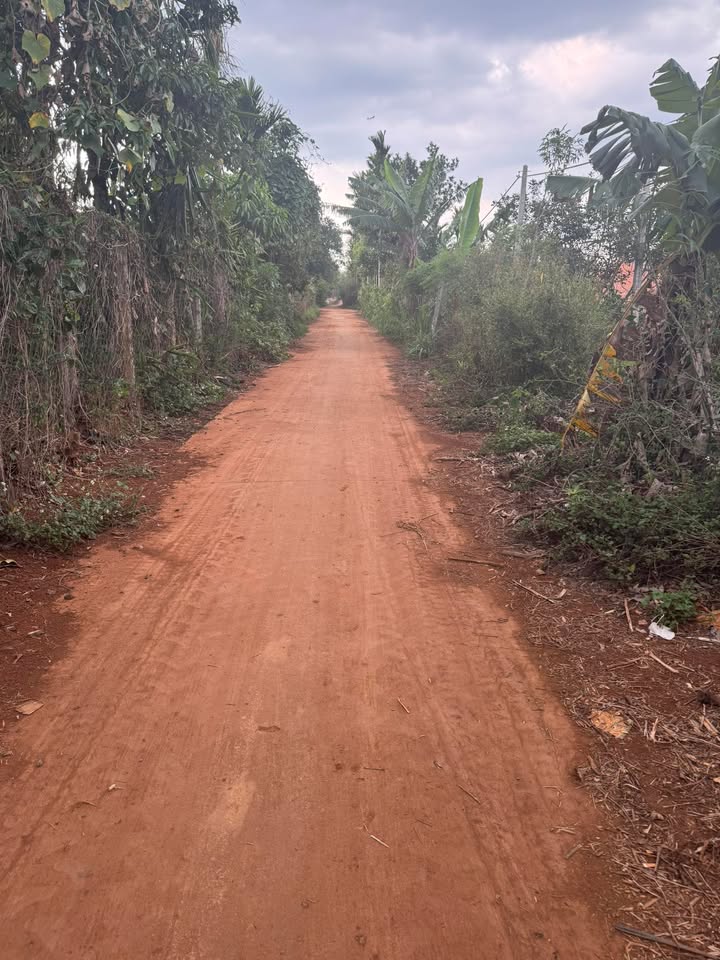 Đất nền Pơng Drang 225m² giá 599 triệu - Cơ hội đầu tư tuyệt vời!