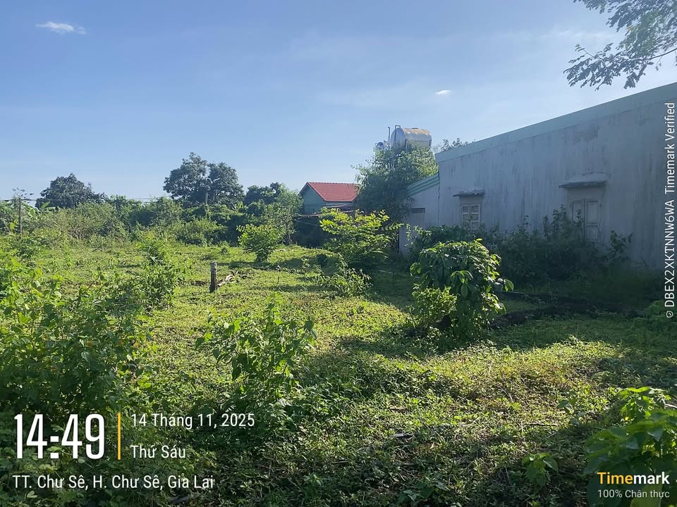 Đất nền chính chủ xã Chư Sê 700m² giá 665 triệu - Bán gấp do cần tiền!