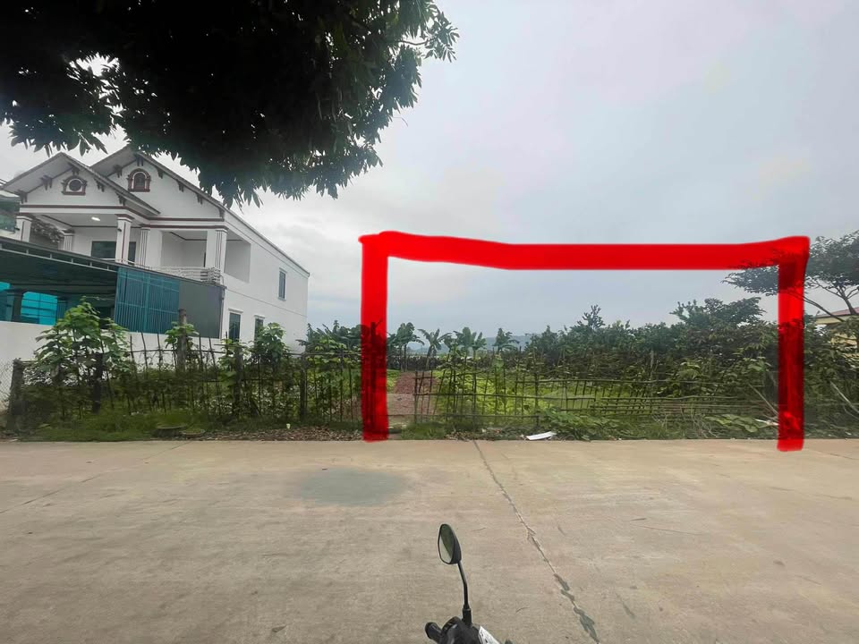 Đất Bảo Yên, Thanh Thủy 223,2m² giá 3.965 tỷ - Tiềm năng tăng giá mạnh!