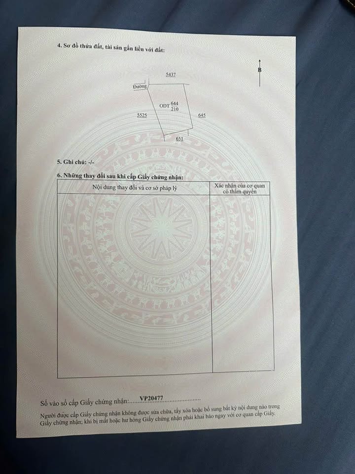 Đất nền Vũ Hữu Lợi Nam Định 210m² giá 1.7 tỷ - Hướng Tây, phù hợp nhà vườn!