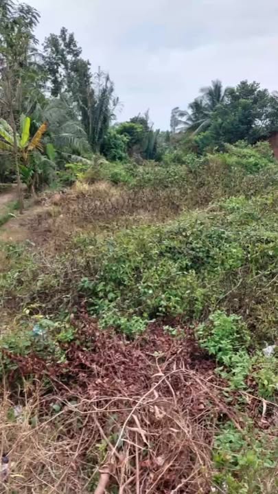 Đất nền Cái Nhum 1.085m² giá 3 tỷ - Mặt tiền DT903, cơ hội đầu tư lớn!