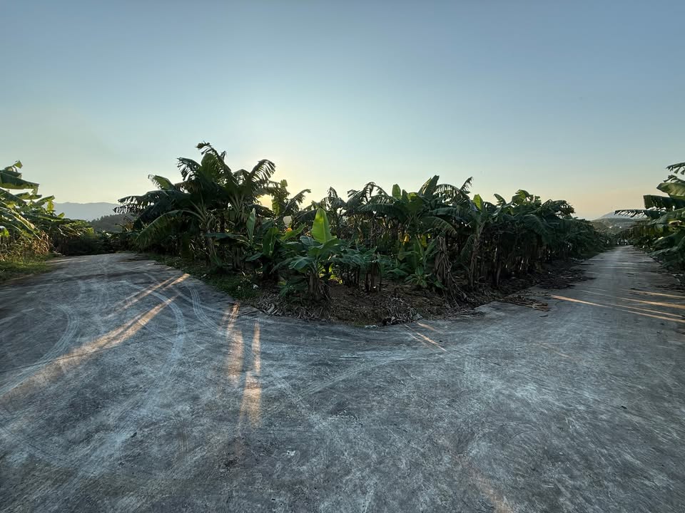 Đất nghỉ dưỡng 931m² tại Phúc Thuận, Phổ Yên - Đầu tư sinh lời cao!