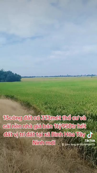 Đất nền 13 công tại xã Bình Hòa Trung, Mộc Hóa, Long An - Giá chỉ 1.95 tỷ!