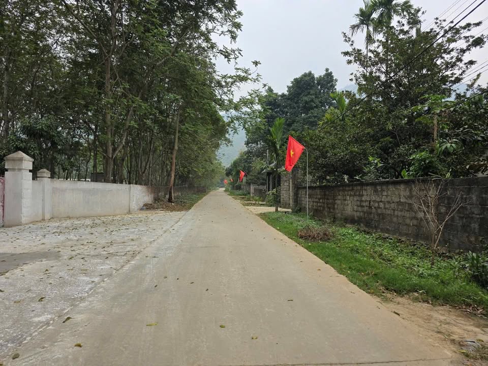 Đất nền góc 2 mặt tiền tại Cư Yên, Lương Sơn, 1021m² - Sổ hồng chính chủ, giá rẻ!