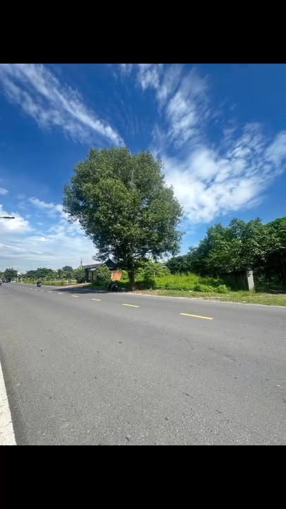 Đất mặt tiền TL9, Đức Hòa, Long An 588m² - Giá tốt, đầu tư sinh lời!