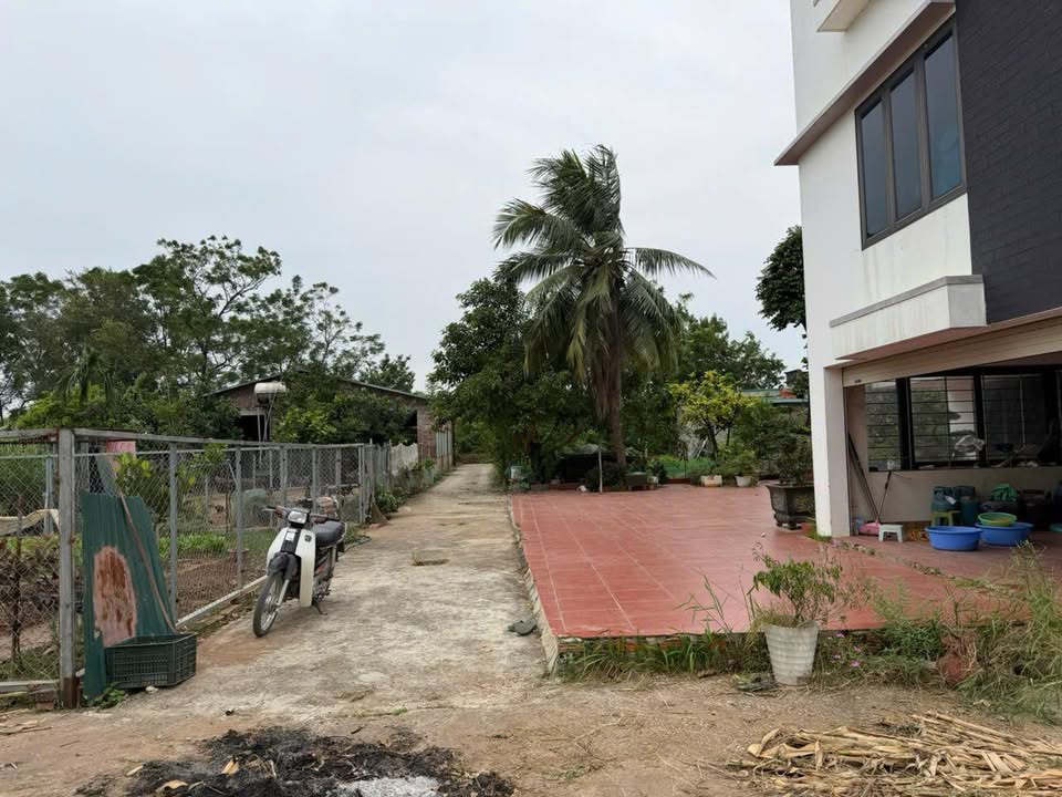 Đất thổ cư 66m² tại Xóm 8, Tráng Việt, Mê Linh - Giá chỉ 3 tỷ!