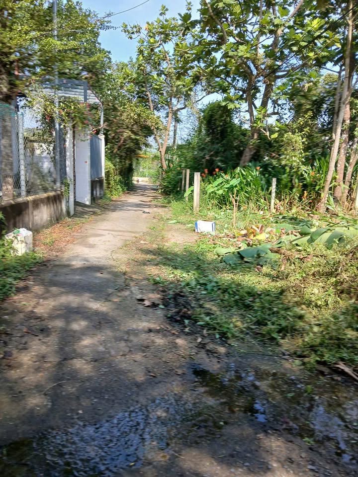 Nhà Ấp 3 An Phước, Long Thành 190m² giá 4.5 tỷ - Vị trí kinh doanh tốt!