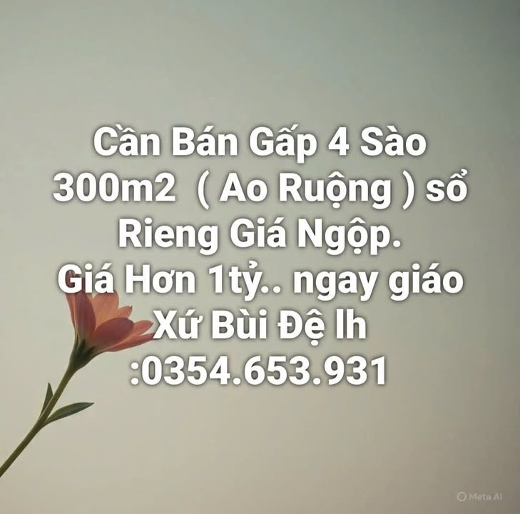 Đất Farm 4300m² ĐT767 Trảng Bom - Giá 1 tỷ, Sổ đỏ chính chủ!