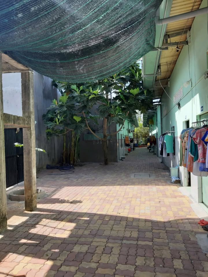 Dãy nhà trọ 2 mặt tiền 1200m² tại Nhựt Chánh giá 12.5 tỷ - Đầu tư sinh lời ổn định!